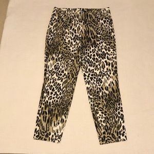 Premise Casual Pants